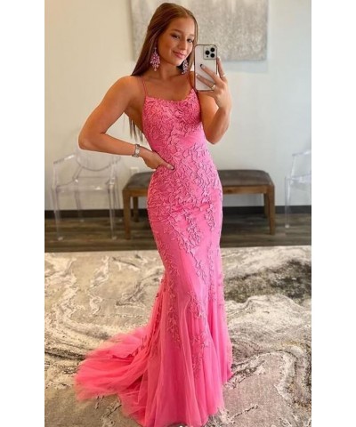 Mermaid Prom Dresses for Women Lace Appliques Tulle Tight Sexy Backless Evening Gowns 2024 Dusty Sage $34.02 Dresses