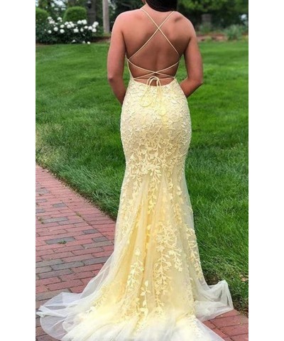 Mermaid Prom Dresses for Women Lace Appliques Tulle Tight Sexy Backless Evening Gowns 2024 Dusty Sage $34.02 Dresses