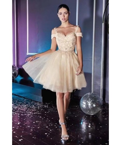 Short Homecoming Dresses for Teens Lace Appliques Tulle Prom Dress for Women Mini Cocktail Dress Ivory $25.01 Dresses